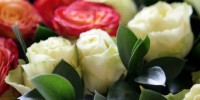 31- Flowers-5